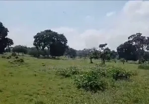 640 Acres Prime Land For Sale In Mukono Extending Upto L. Victoria
