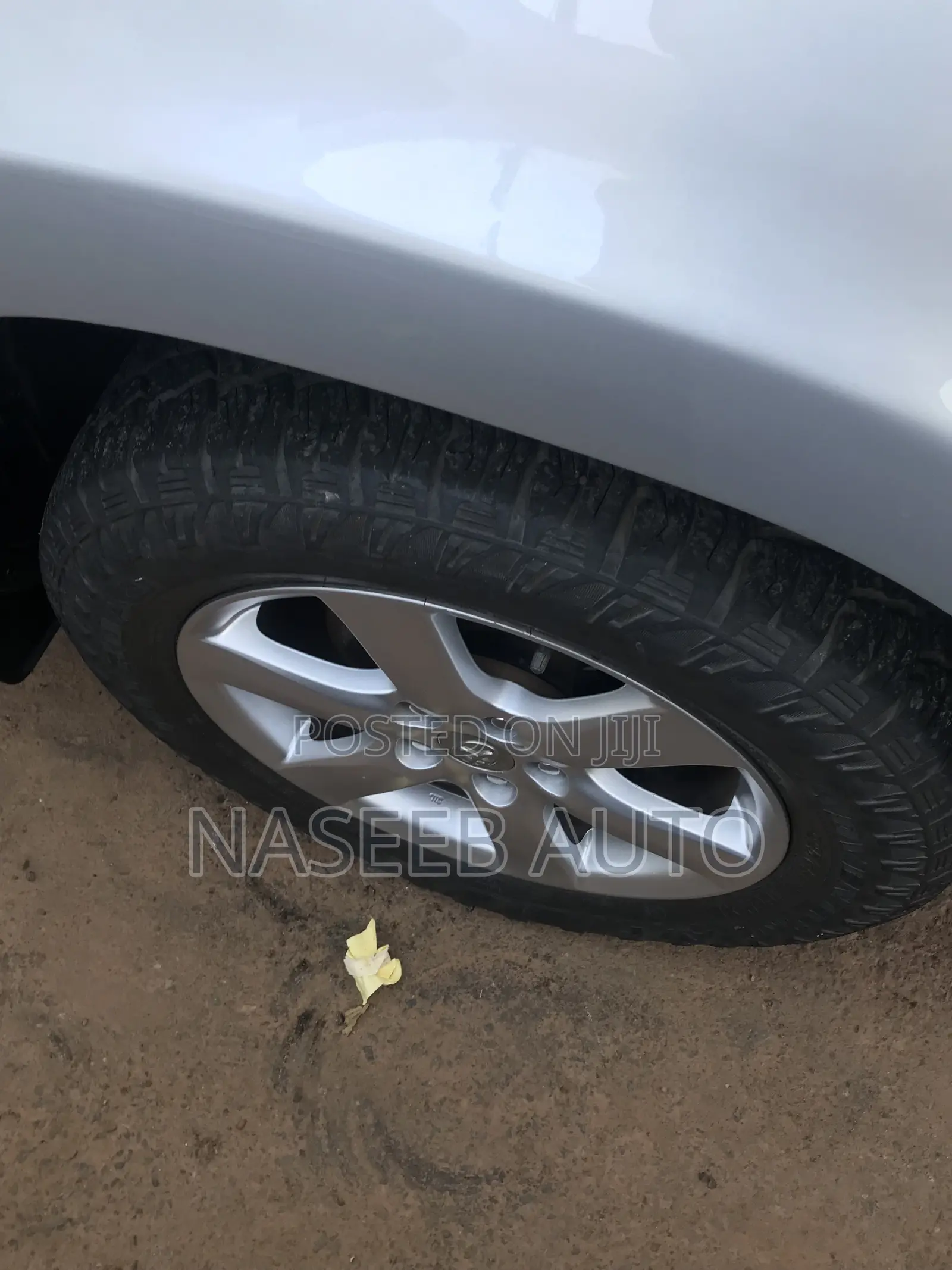 Toyota Vanguard 2010 Silver