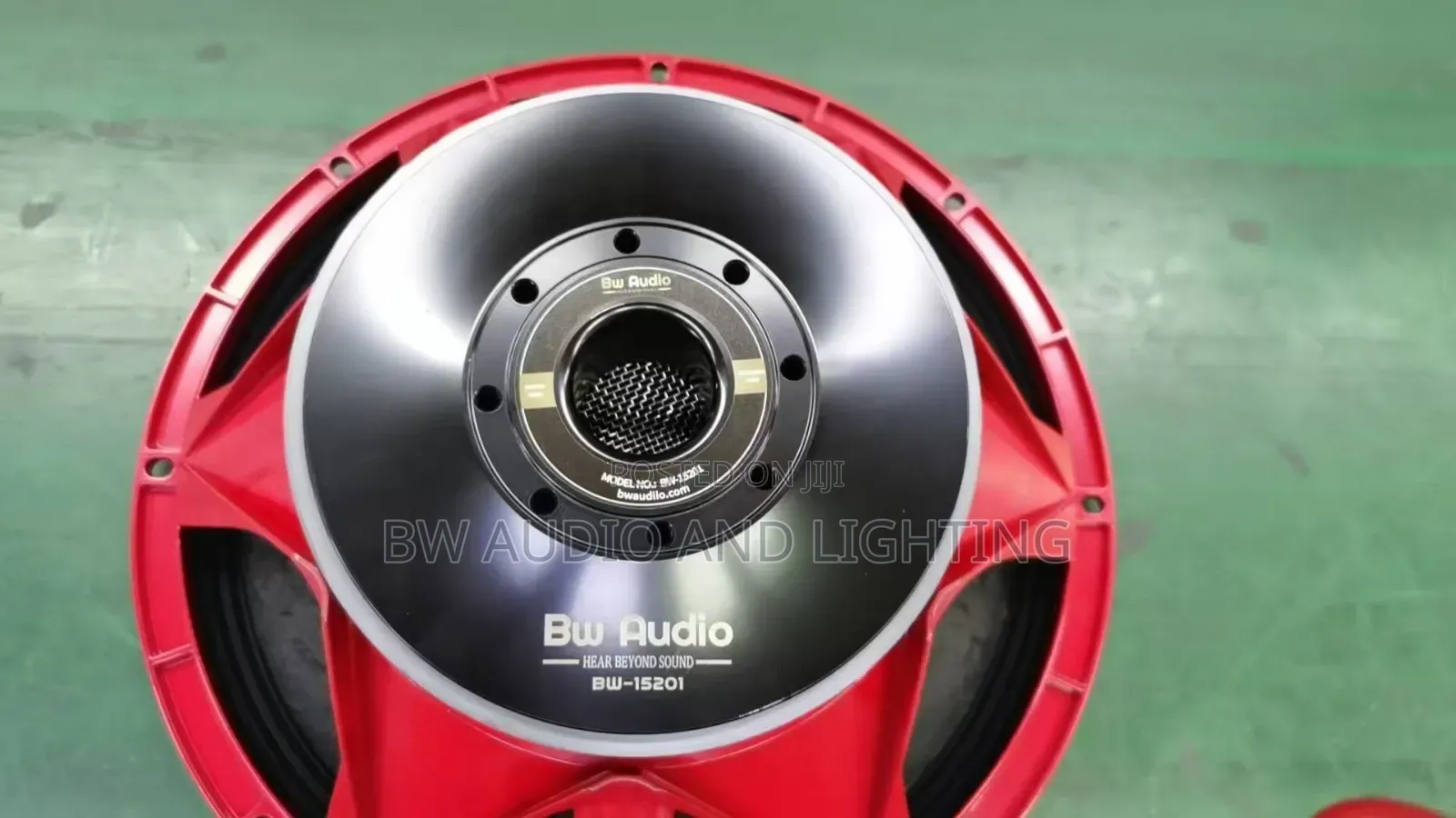 15inches 75.5 Coil Speaker Woofer