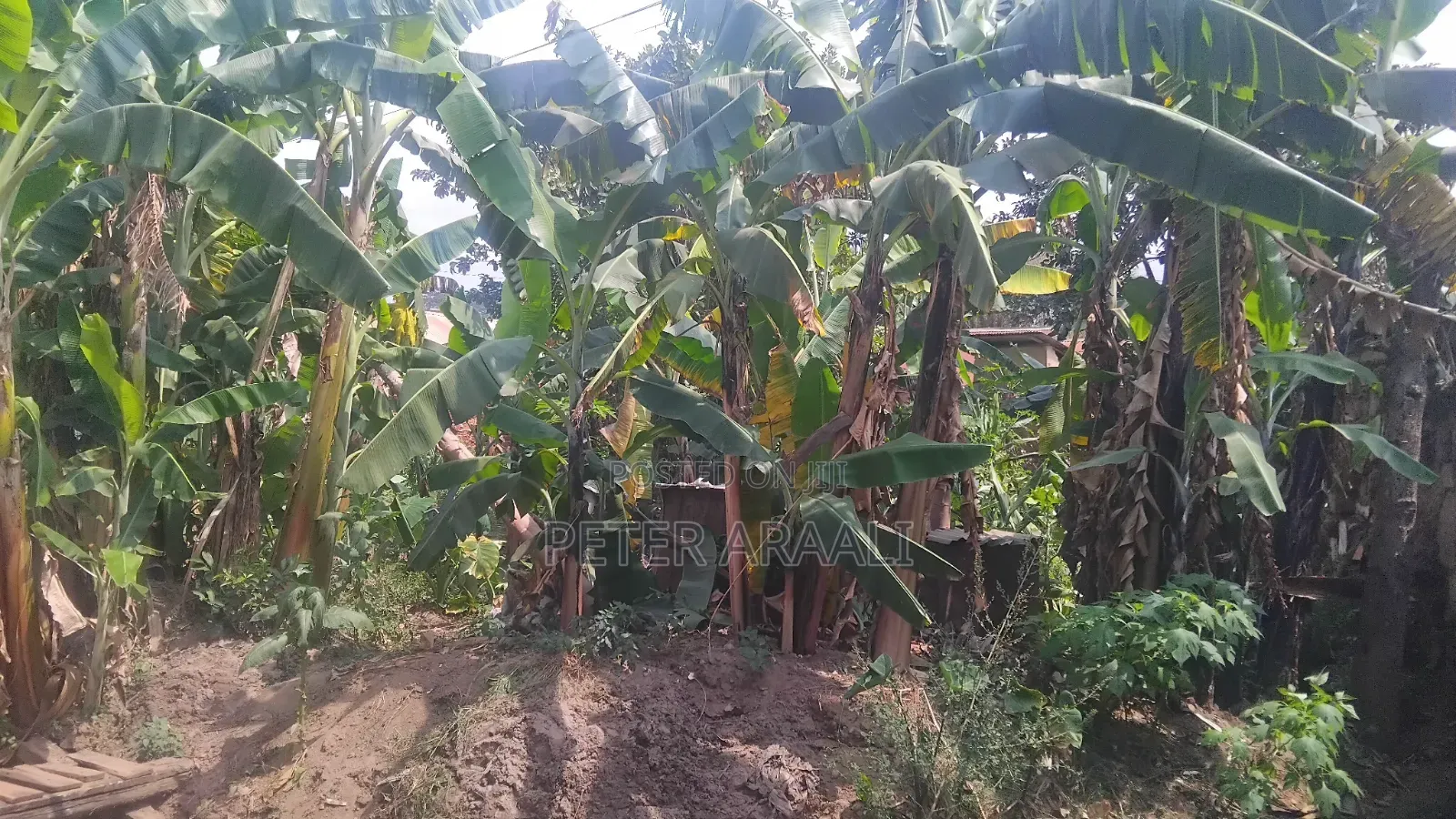 Plot in Prime Location for Sale