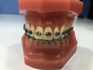 Brushing Kit