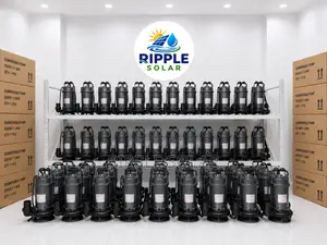 1500w AC Submersible Water Pump 11m Head 66000l/H 220v