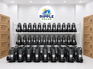1500w AC Submersible Water Pump 11m Head 66000l/H 220v