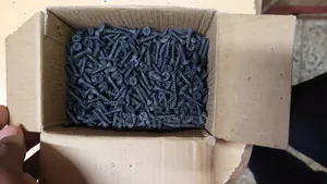 Self Tapping Screws ( Black Screws)