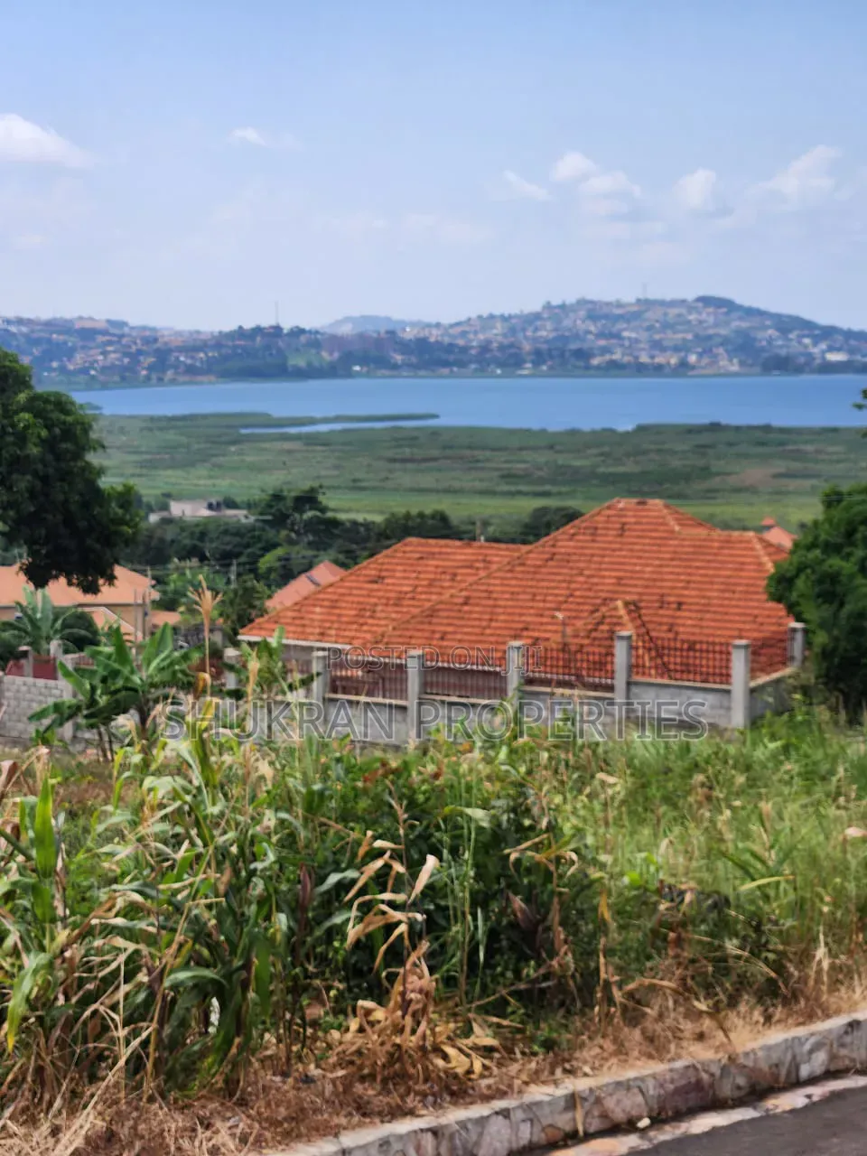 Super Lake View Plots for Sale