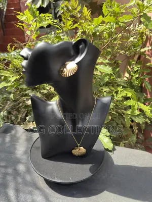 Jewelry ( Earrings and Necklaces)