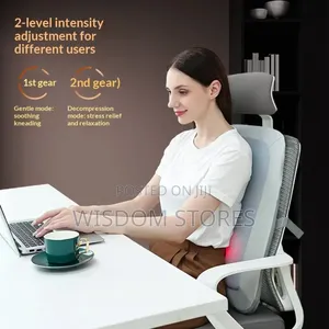 Shiatsu Backrest Seat Massager With Heat Percussion