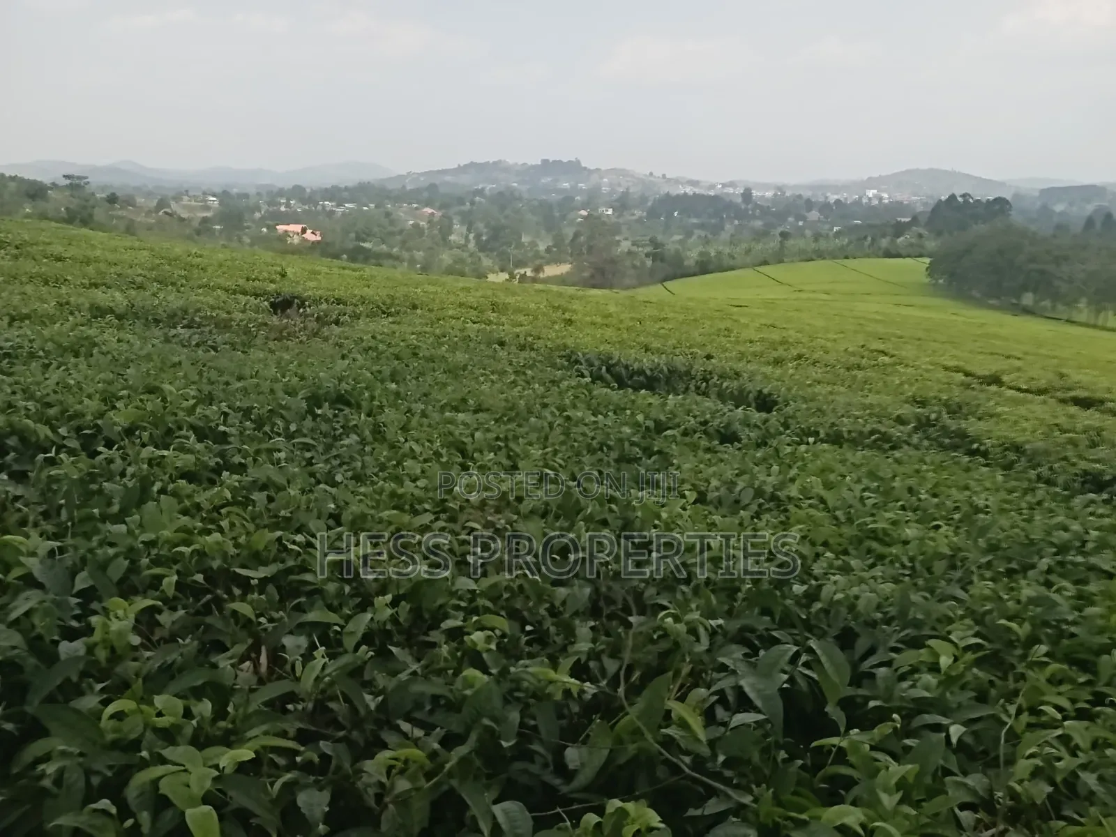 Commercial Land on Sale Located in Kyenjojo