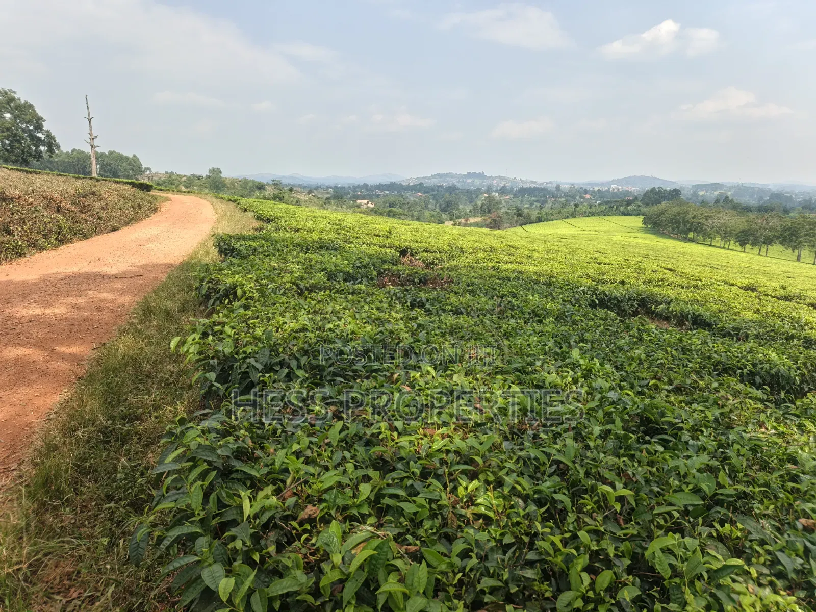 Commercial Land on Sale Located in Kyenjojo