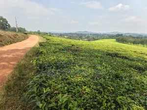 Commercial Land on Sale Located in Kyenjojo