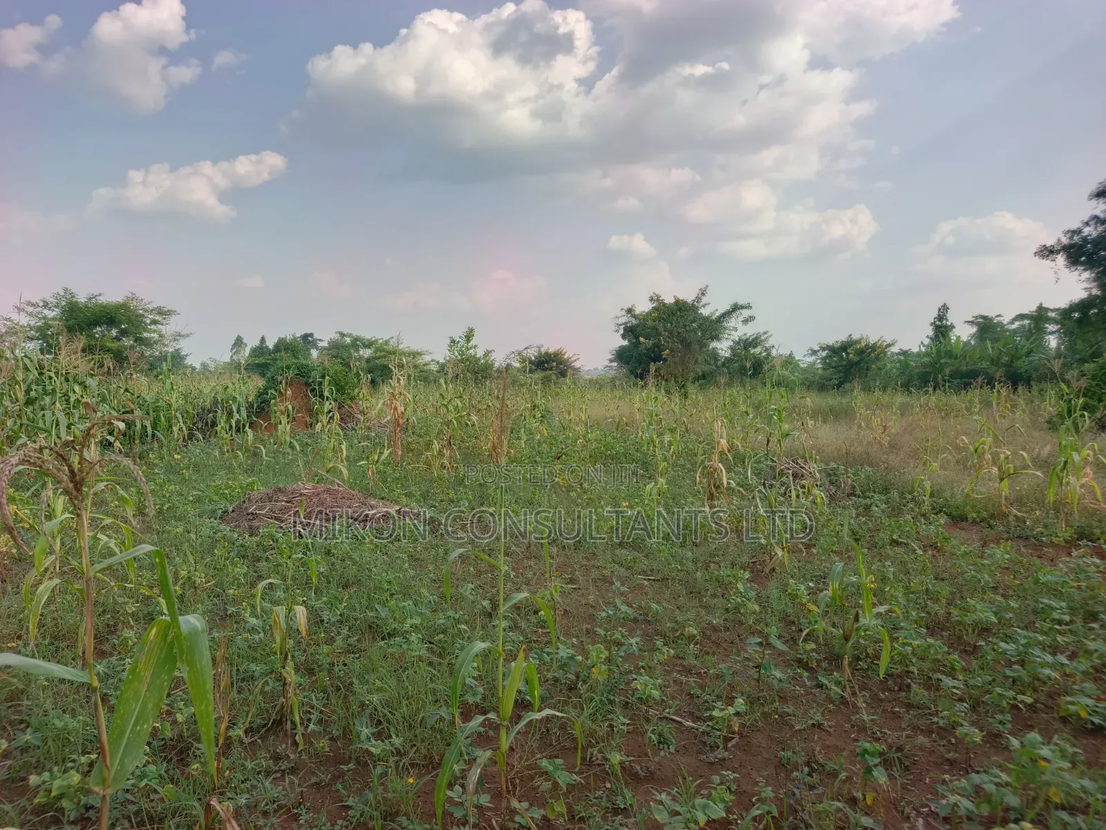 4 Acres of and in Luweero