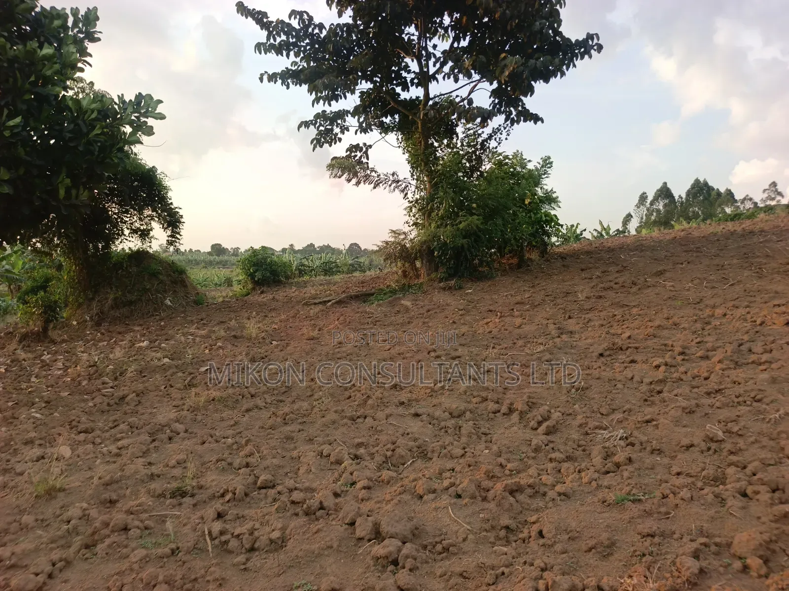 Half Acre of Land in Matuga Town Bombo Road