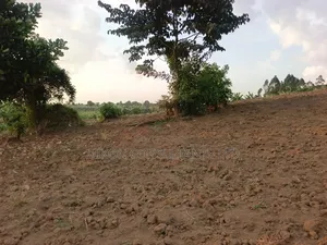 Half Acre of Land in Matuga Town Bombo Road