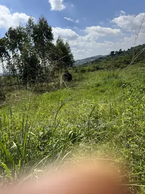 Spacious Land on Sale in Nsagu Off Nakawuka Road
