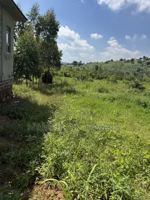 Spacious Land on Sale in Nsagu Off Nakawuka Road