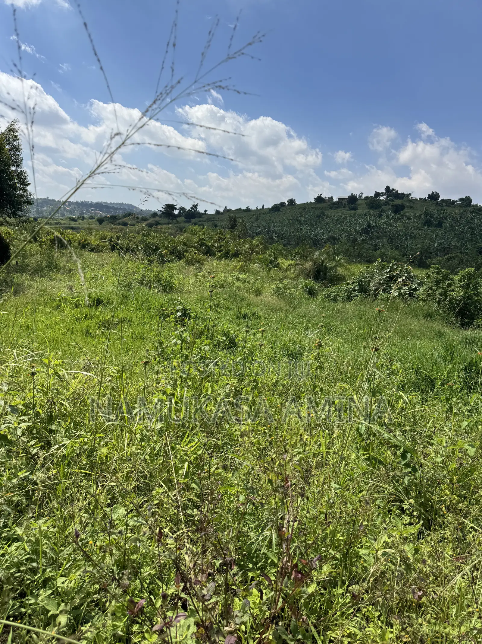 Spacious Land on Sale in Nsagu Off Nakawuka Road
