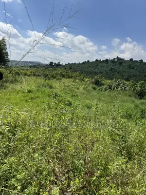 Spacious Land on Sale in Nsagu Off Nakawuka Road