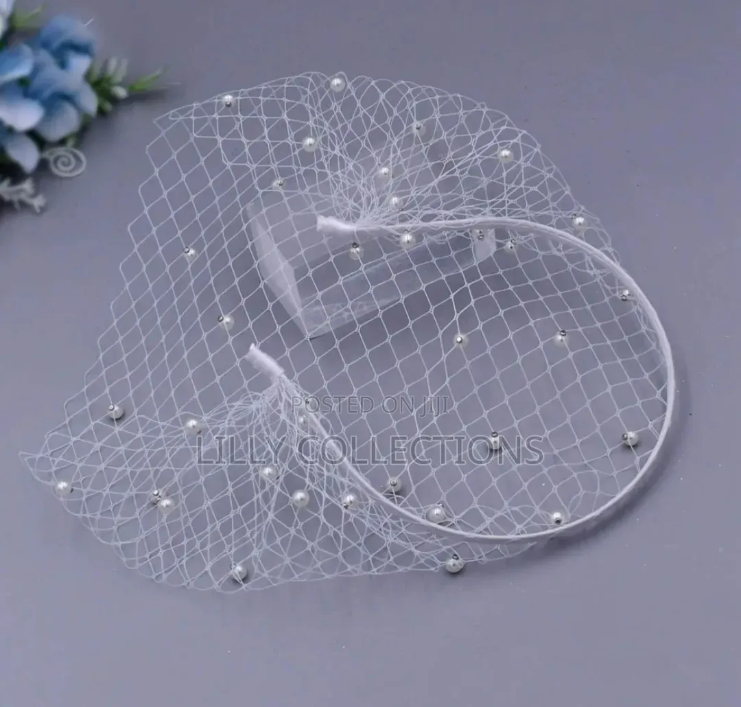Women's Mesh Face Veil