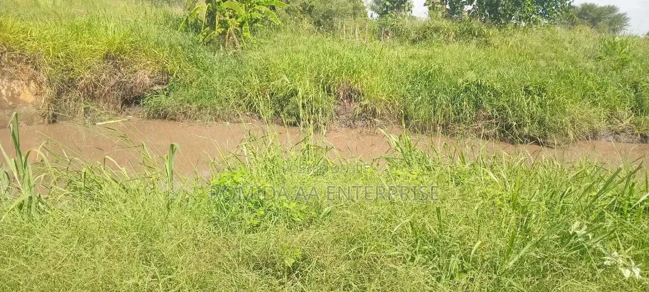 Fertile Farmland For Rent | Lease Lamwo District