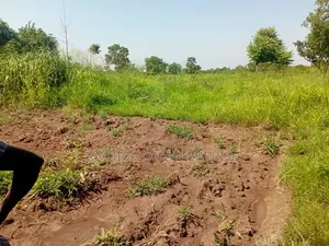 Fertile Farmland For Rent | Lease Lamwo District