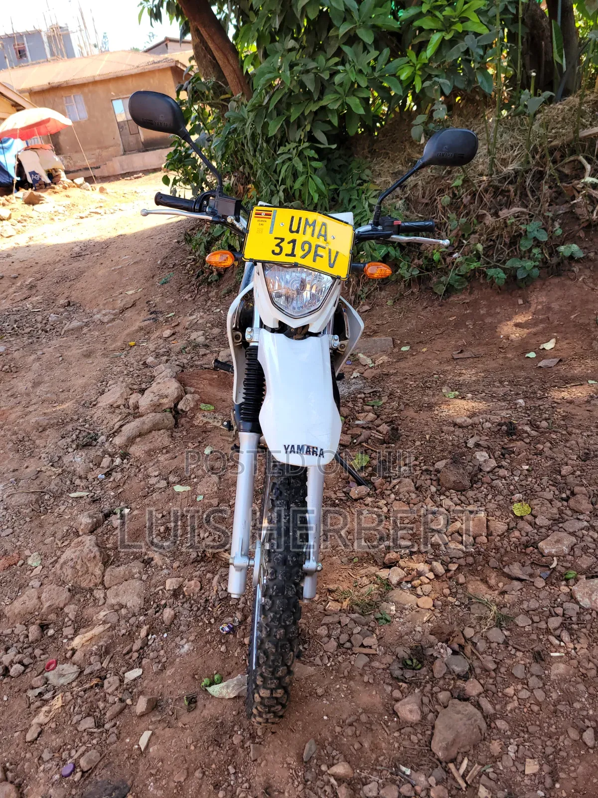 Yamaha 2016 White