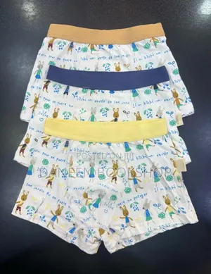 Boys Panties (0-15yrs)