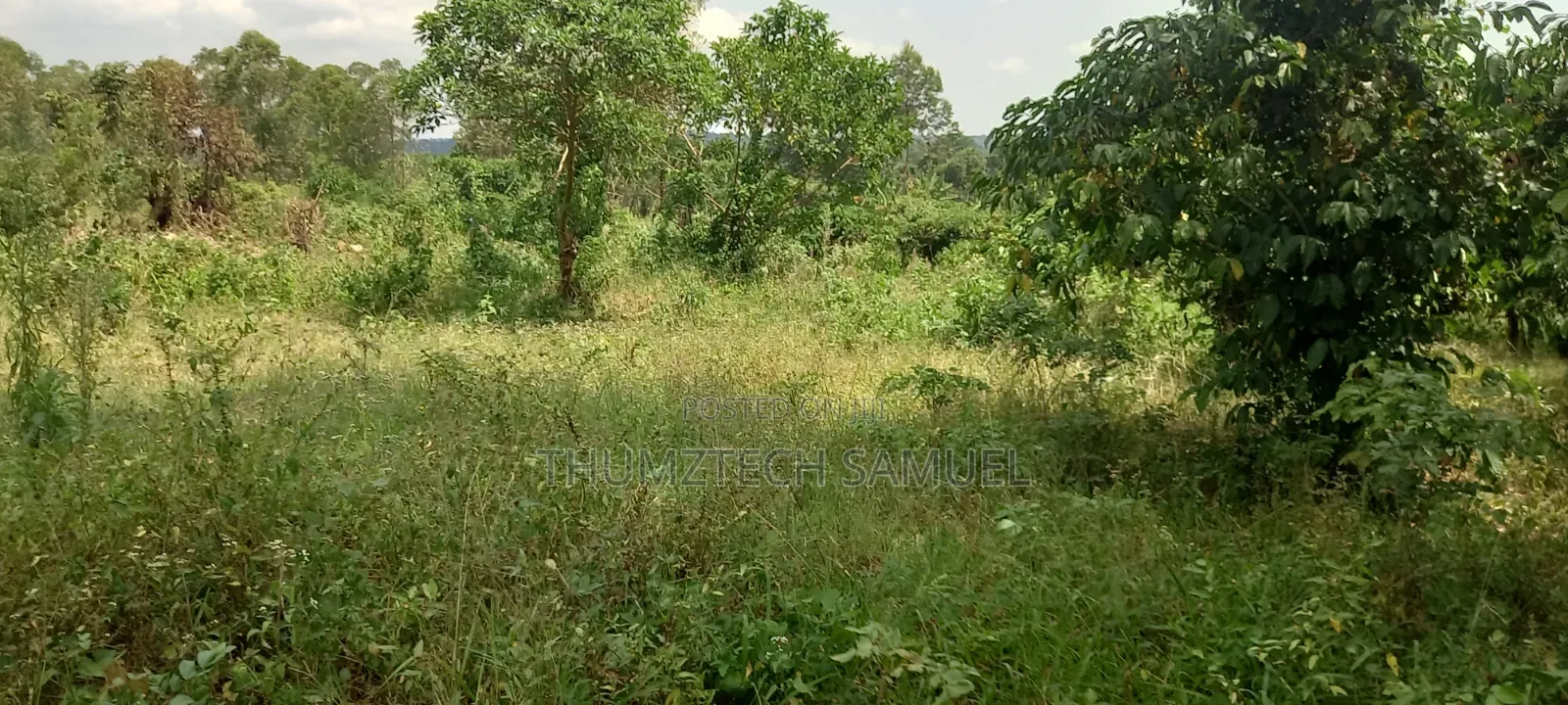 9 Hot Acres for Grab