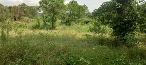 9 Hot Acres for Grab