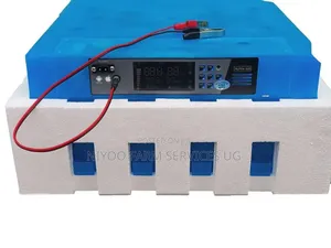 Imported Automatic Incubator
