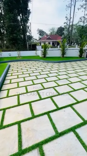 Hotel Compound Grass Carpets Per Squaremeter
