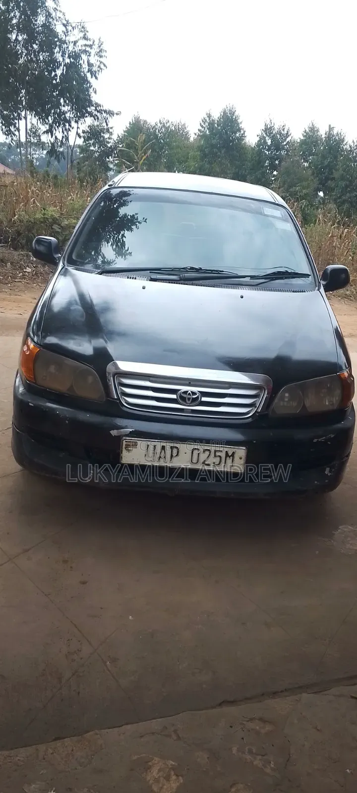 Toyota Ipsum 2000 Black