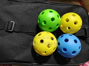 Pickle Ball Set With 4 Balls