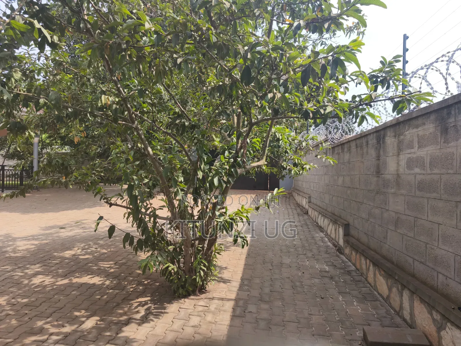 1bdrm House in Namavundu, Nangabo for rent