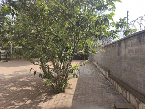 1bdrm House in Namavundu, Nangabo for rent