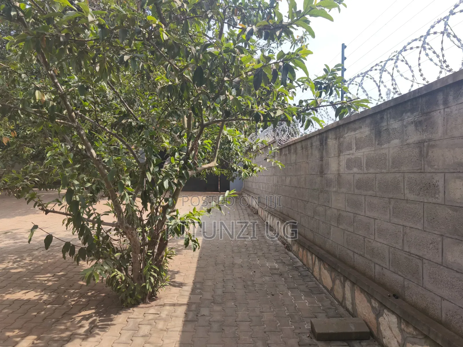 1bdrm House in Namavundu, Nangabo for rent