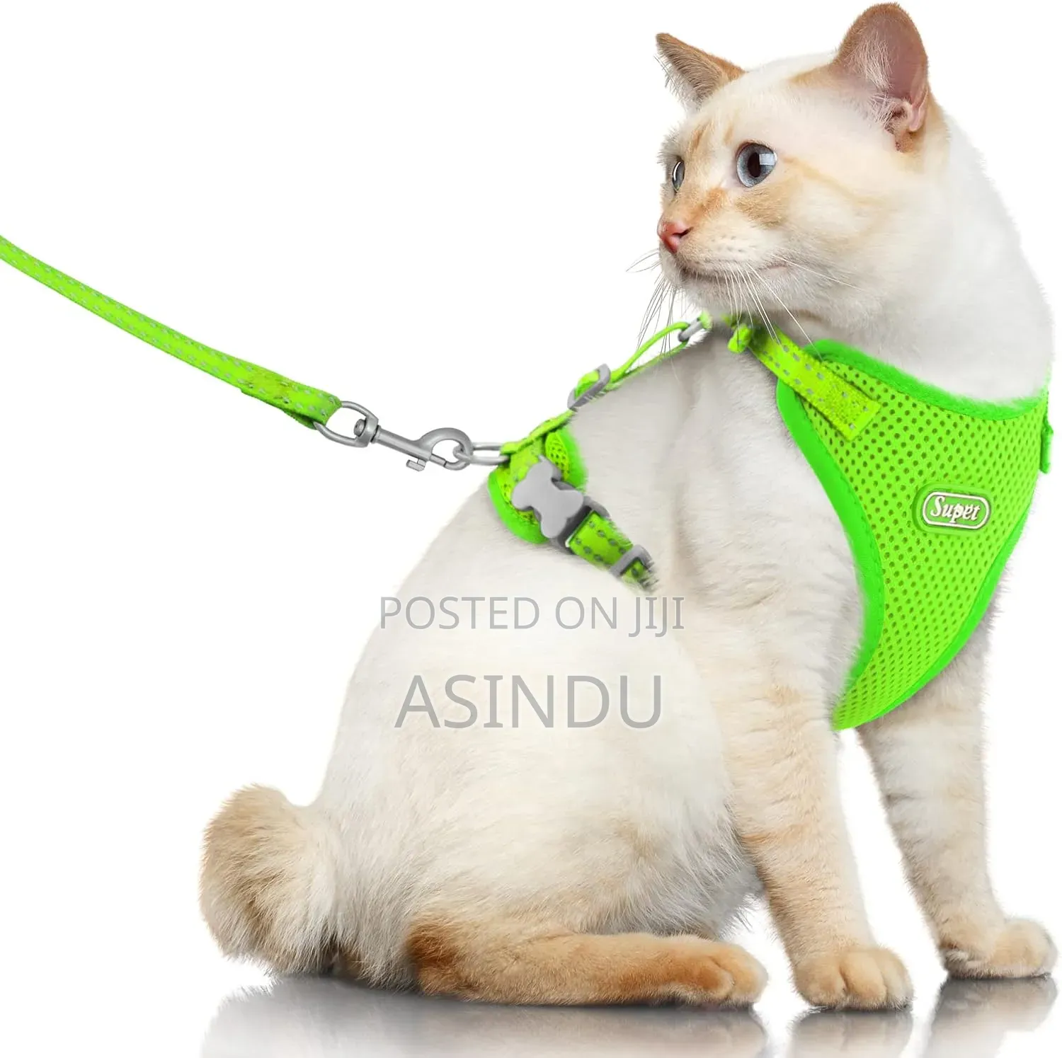 Pet Harness