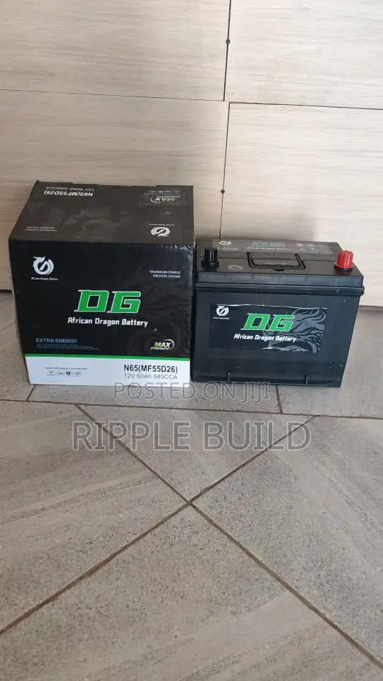 N65 60ah Maintenance Free Car Battery Dg African Dragon