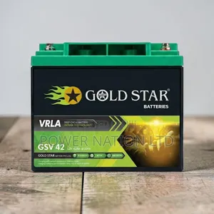 40ah Interstellar Gold Star Battery