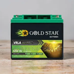 40ah Interstellar Gold Star Battery