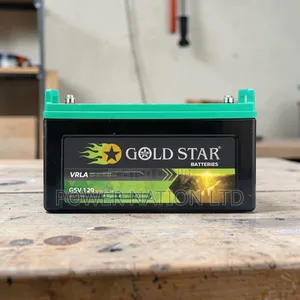 120ah Interstellar Gold Star Battery