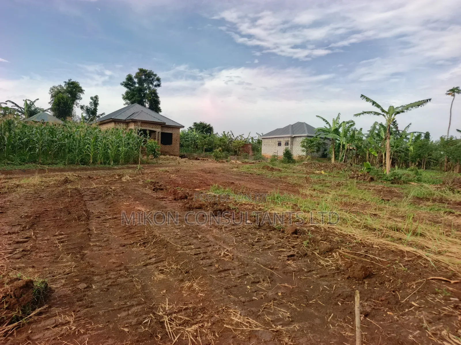 50 by 100 FTS Plots in Matuga Kavule