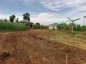 50 by 100 FTS Plots in Matuga Kavule