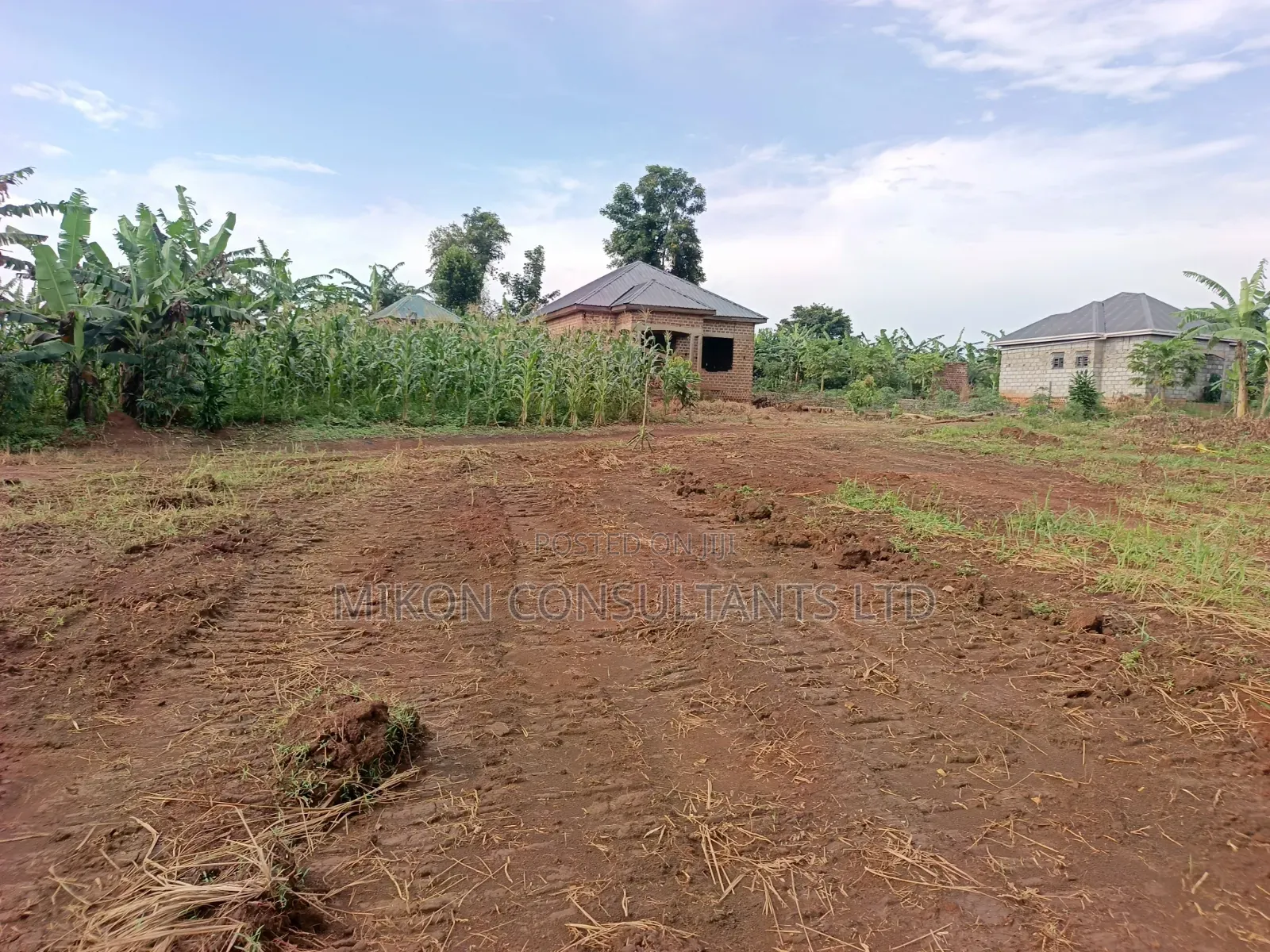 50 by 100 FTS Plots in Matuga Kavule