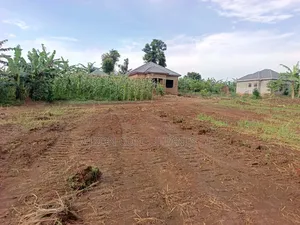 50 by 100 FTS Plots in Matuga Kavule