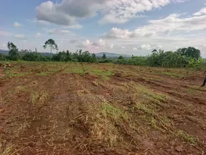 50 by 100 FTS Plots in Matuga Kavule