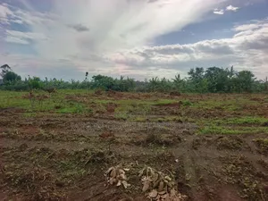 50 by 100 FTS Plots in Matuga Kavule
