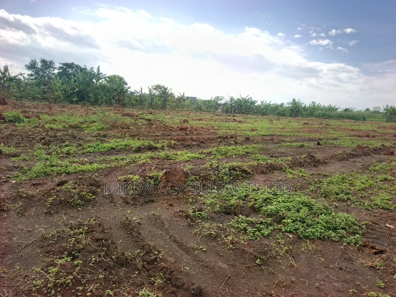 50 by 100 FTS Plots in Matuga Kavule