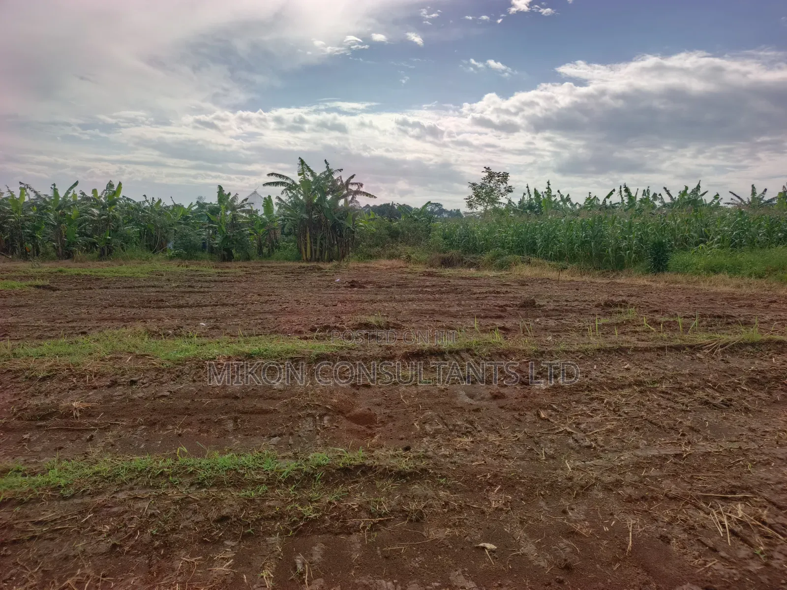 50 by 100 FTS Plots in Matuga Kavule