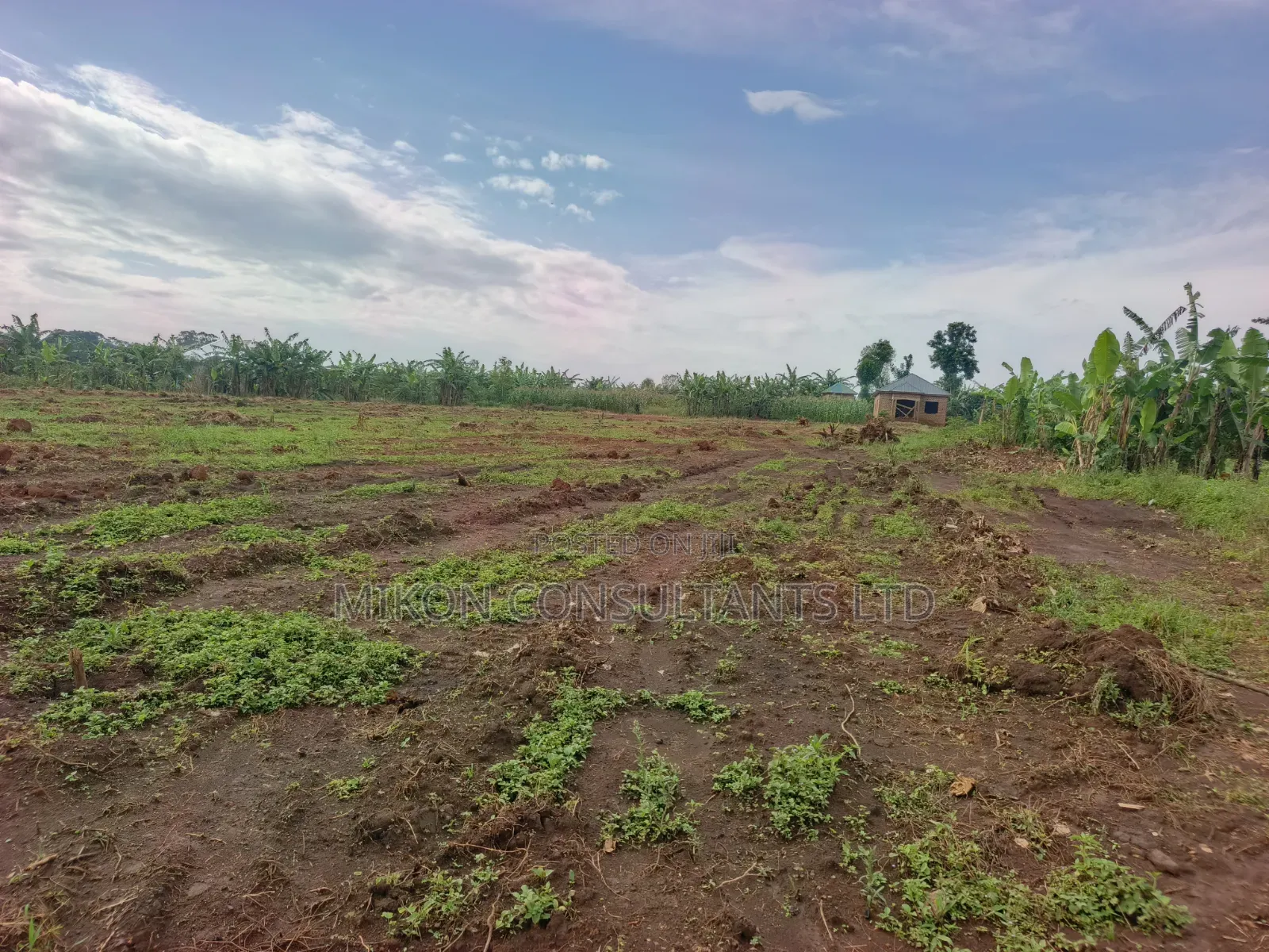 50 by 100 FTS Plots in Matuga Kavule