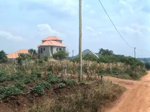 6 Plot for Sale Located at Gayaza-Dundu